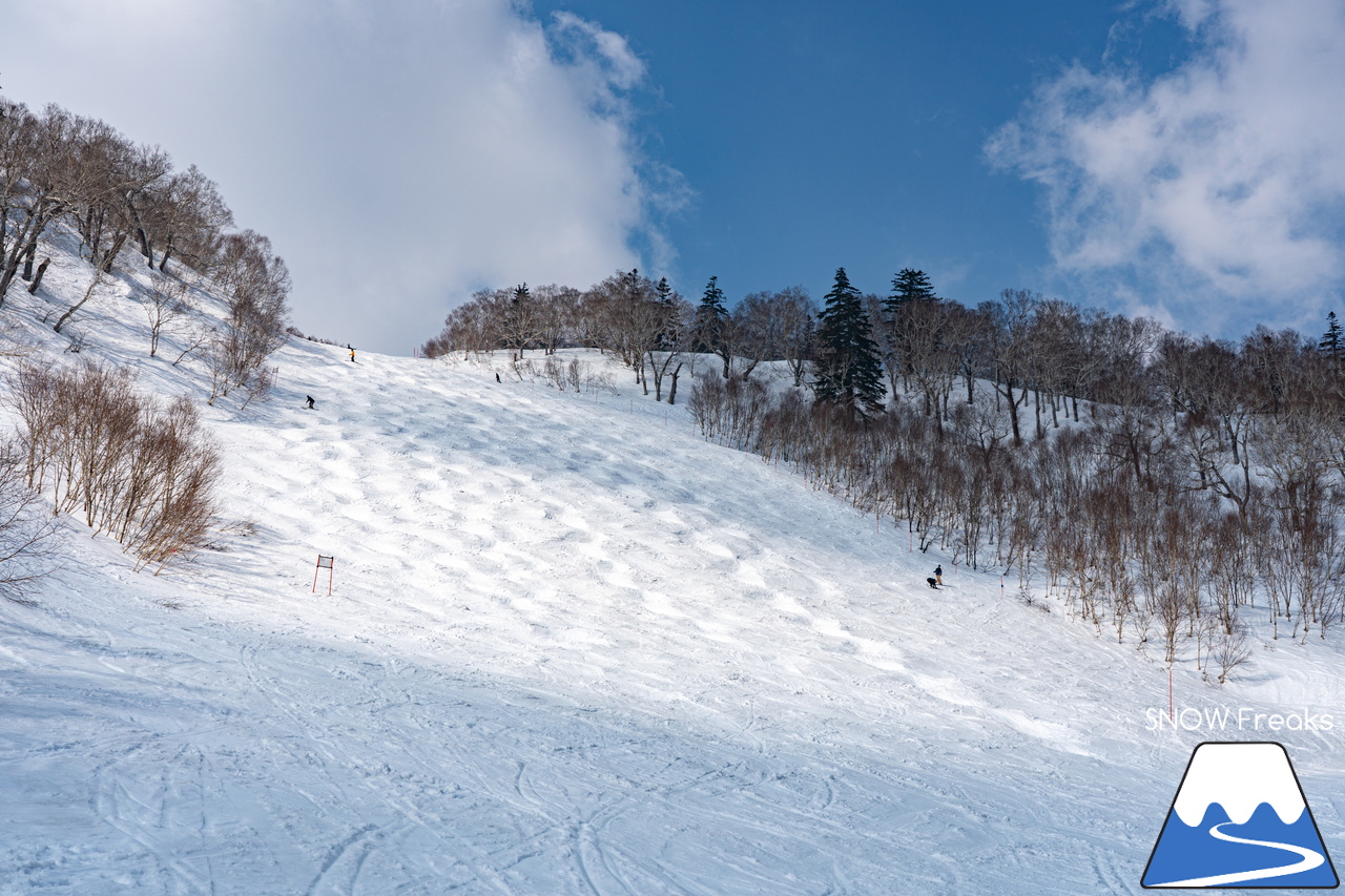 札幌国際スキー場｜さすが『KOKUSAI』！春シーズンも安泰の豊富な積雪で、まだまだ余裕で全面滑走可能です(^^)v